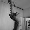 Chimera hlina