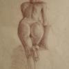 Zenska figura